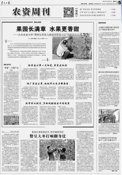 果園生草 自然農(nóng)法的甜蜜成果與轉(zhuǎn)讓新機(jī)